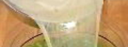 царское варенье из крыжовника. Шаг 4