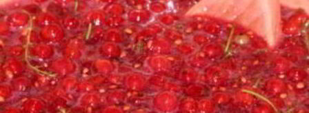 варенье из красной смородины на зиму. Шаг 3