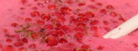 варенье из красной смородины на зиму. Шаг 4