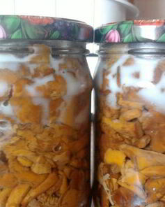 Заготовка лисичек на зиму