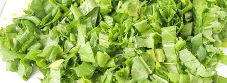 заморозка щавеля на зиму. Шаг 5