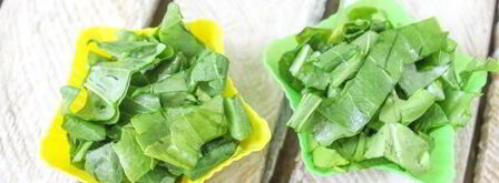 заморозка щавеля на зиму. Шаг 6