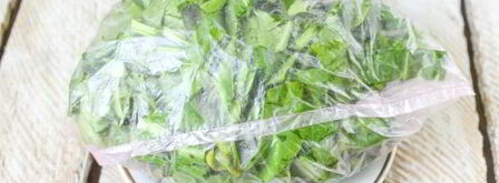 заморозка щавеля на зиму. Шаг 8