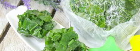 заморозка щавеля на зиму. Шаг 10