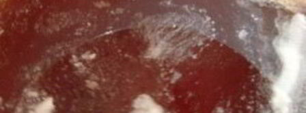 желе из яблок на зиму. Шаг 7