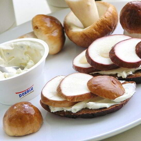 Рецепт бутерброд с белым грибом