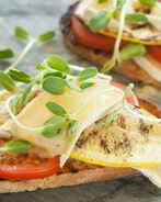 Бутерброды с кабачками