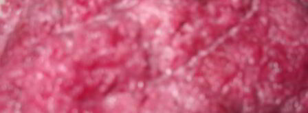 бутерброды закусочные с сельдью. Шаг 4