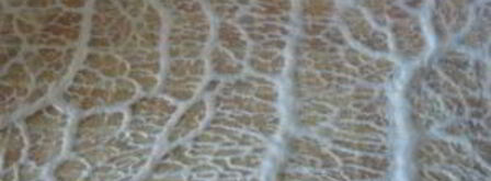 домашняя колбаса в свиной сетке. Шаг 3