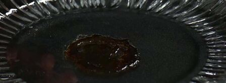 карпаччо из гребешка с кальмаром. Шаг 4