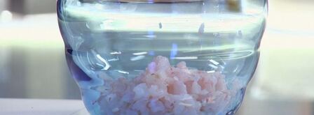 роллы из гречневых блинов с креветками. Шаг 5