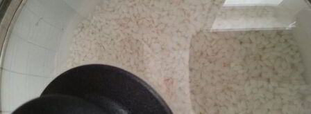 роллы разбитое сердце самурая. Шаг 4