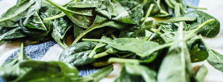 вегетарианский ролл. Шаг 6