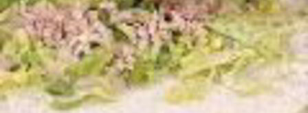 рулет с рисом. Шаг 4