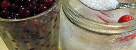 свиные рулетики с грибами под брусничным соусом. Шаг 6