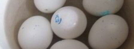 тарталетки с языком. Шаг 2