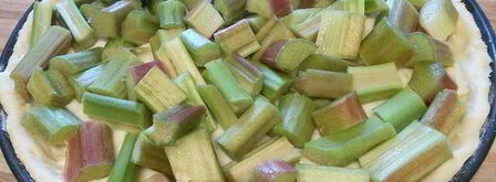 ревеневый тарт с ванильным пудингом и штройзелем. Шаг 6