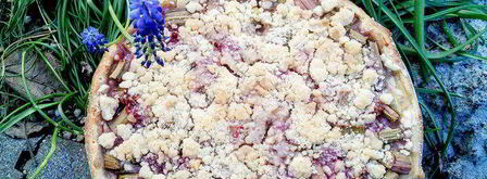 ревеневый тарт с ванильным пудингом и штройзелем. Шаг 9