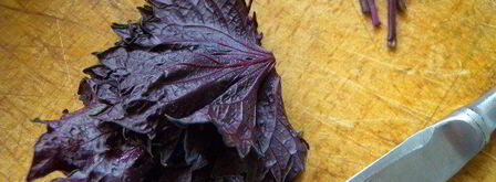 тарт с клубникой с розмарином и ежевикой с базиликом двойное удовольствие. Шаг 10