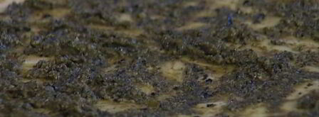 тарт татен с помидорами. Шаг 11