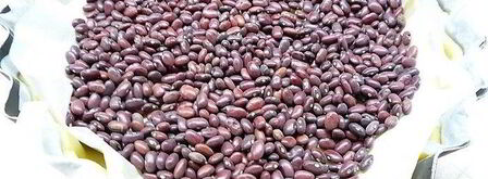 вишневый тарт с лаймом и заварным кремом. Шаг 9